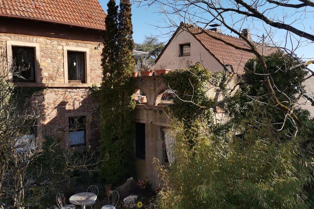 "Casita Linda "Am Donnersberg Villa Dannenfels ภายนอก รูปภาพ