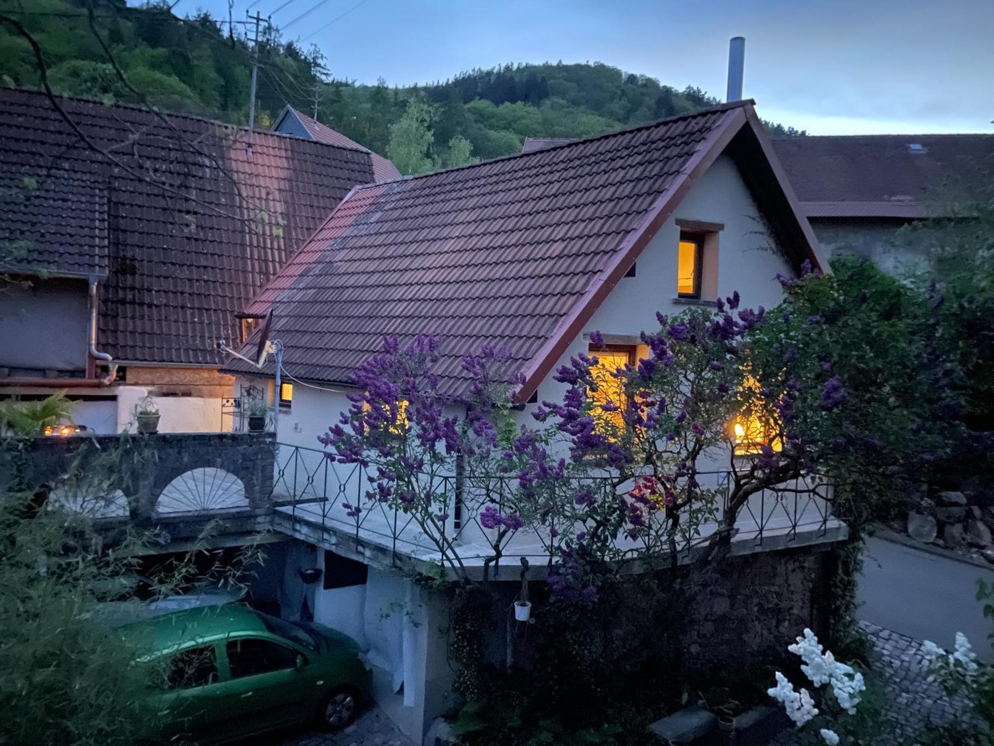 "Casita Linda "Am Donnersberg Villa Dannenfels ภายนอก รูปภาพ