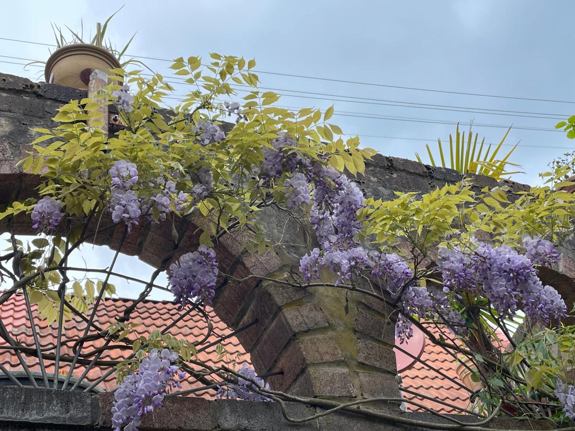 "Casita Linda "Am Donnersberg Villa Dannenfels ภายนอก รูปภาพ