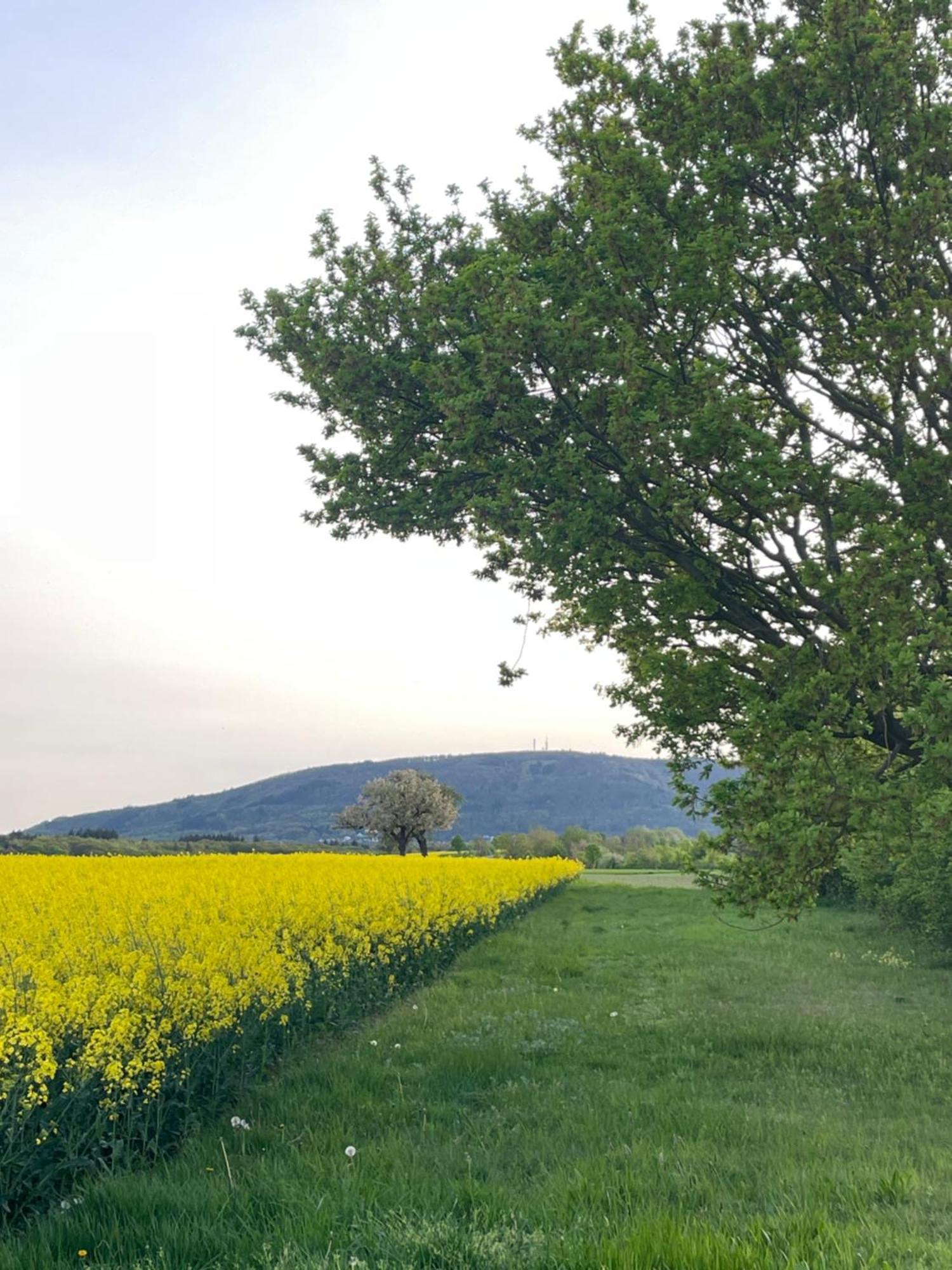 "Casita Linda "Am Donnersberg Villa Dannenfels ภายนอก รูปภาพ