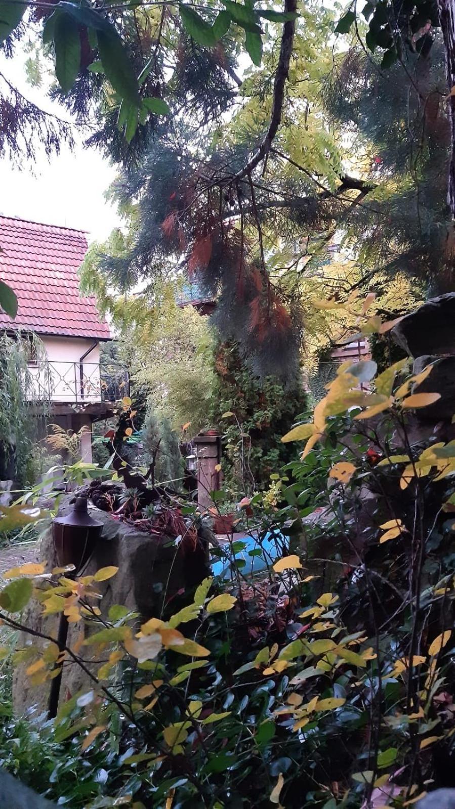 "Casita Linda "Am Donnersberg Villa Dannenfels ภายนอก รูปภาพ