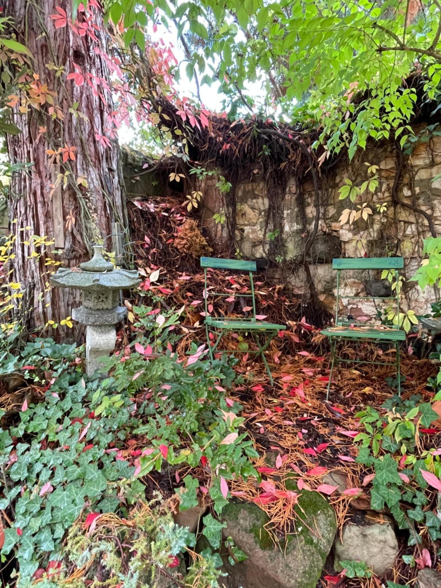 "Casita Linda "Am Donnersberg Villa Dannenfels ภายนอก รูปภาพ